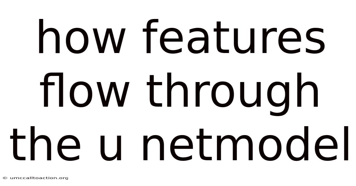 How Features Flow Through The U Netmodel
