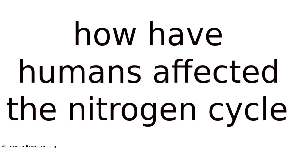 How Have Humans Affected The Nitrogen Cycle