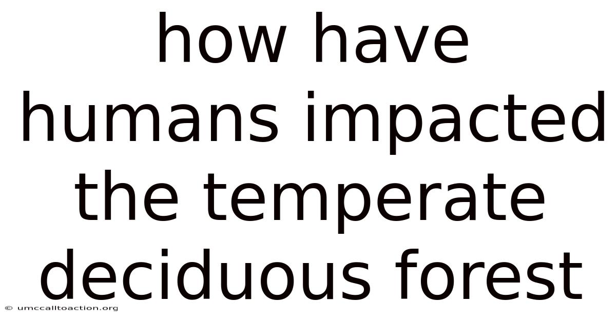 How Have Humans Impacted The Temperate Deciduous Forest
