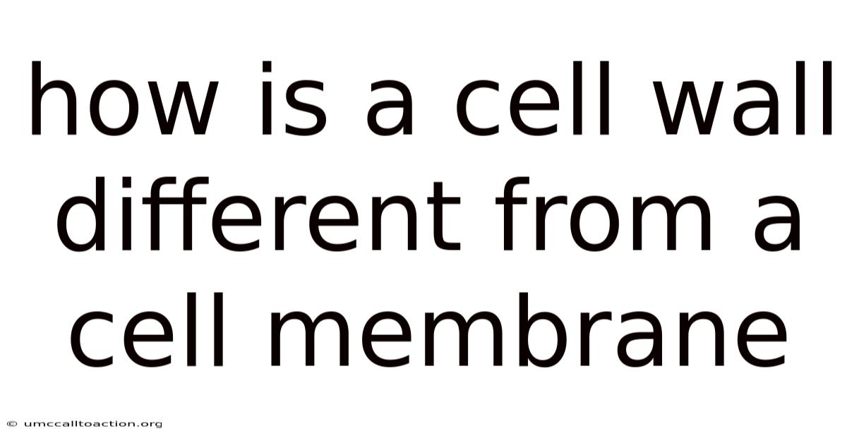 How Is A Cell Wall Different From A Cell Membrane