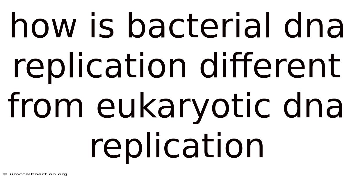 How Is Bacterial Dna Replication Different From Eukaryotic Dna Replication