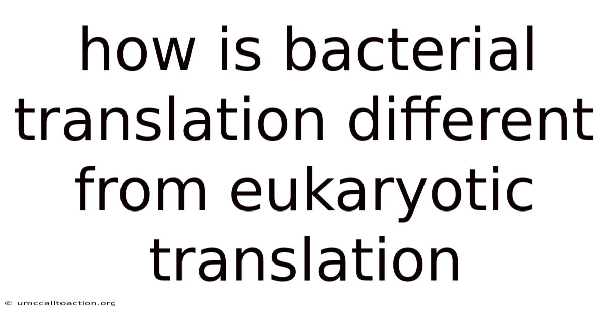 How Is Bacterial Translation Different From Eukaryotic Translation