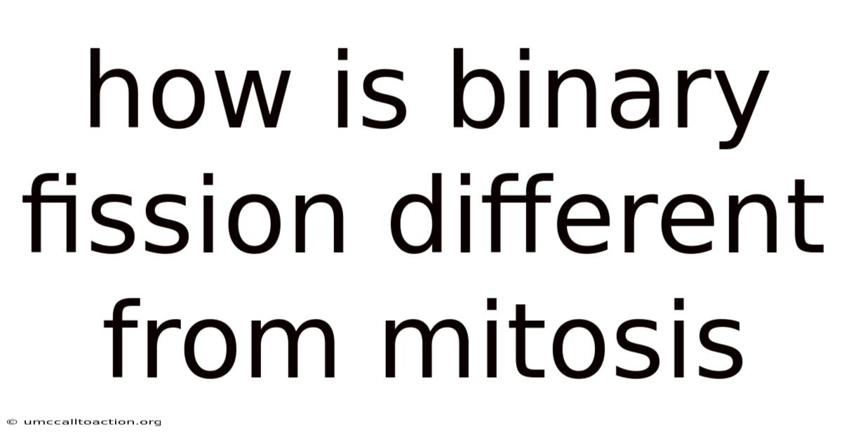 How Is Binary Fission Different From Mitosis