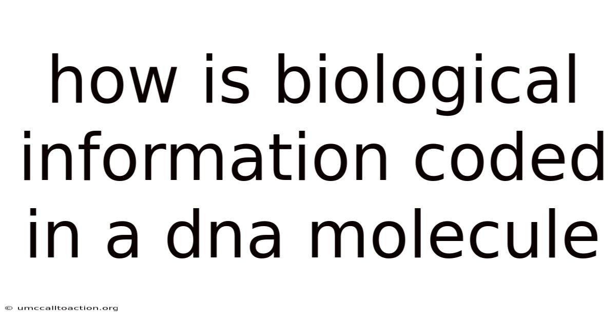How Is Biological Information Coded In A Dna Molecule