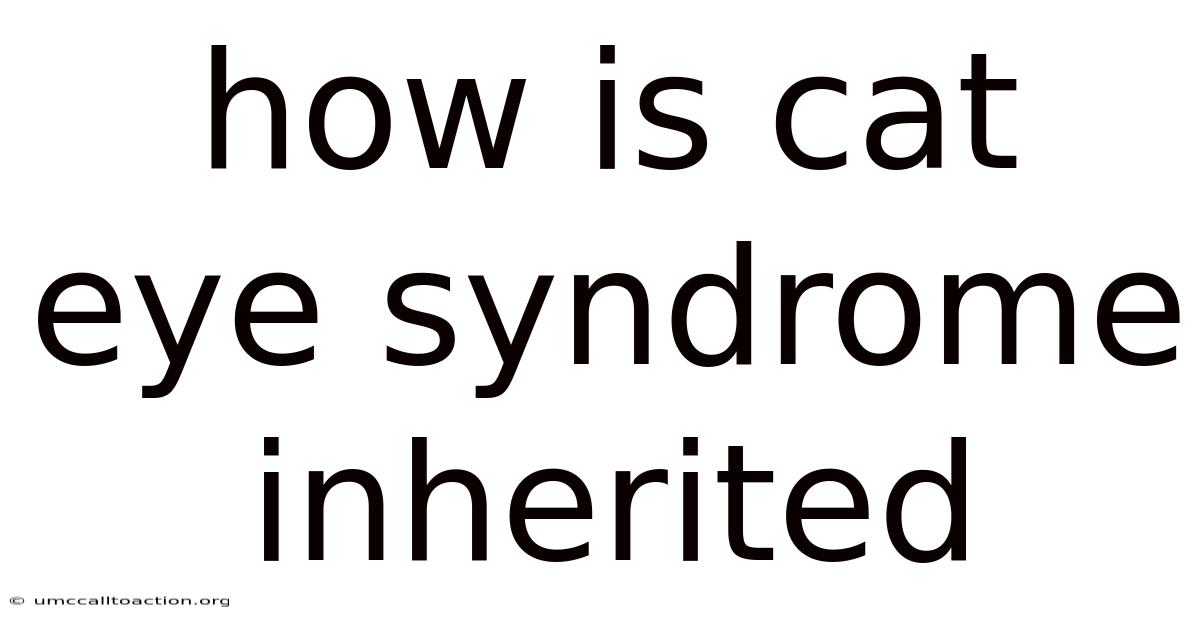How Is Cat Eye Syndrome Inherited