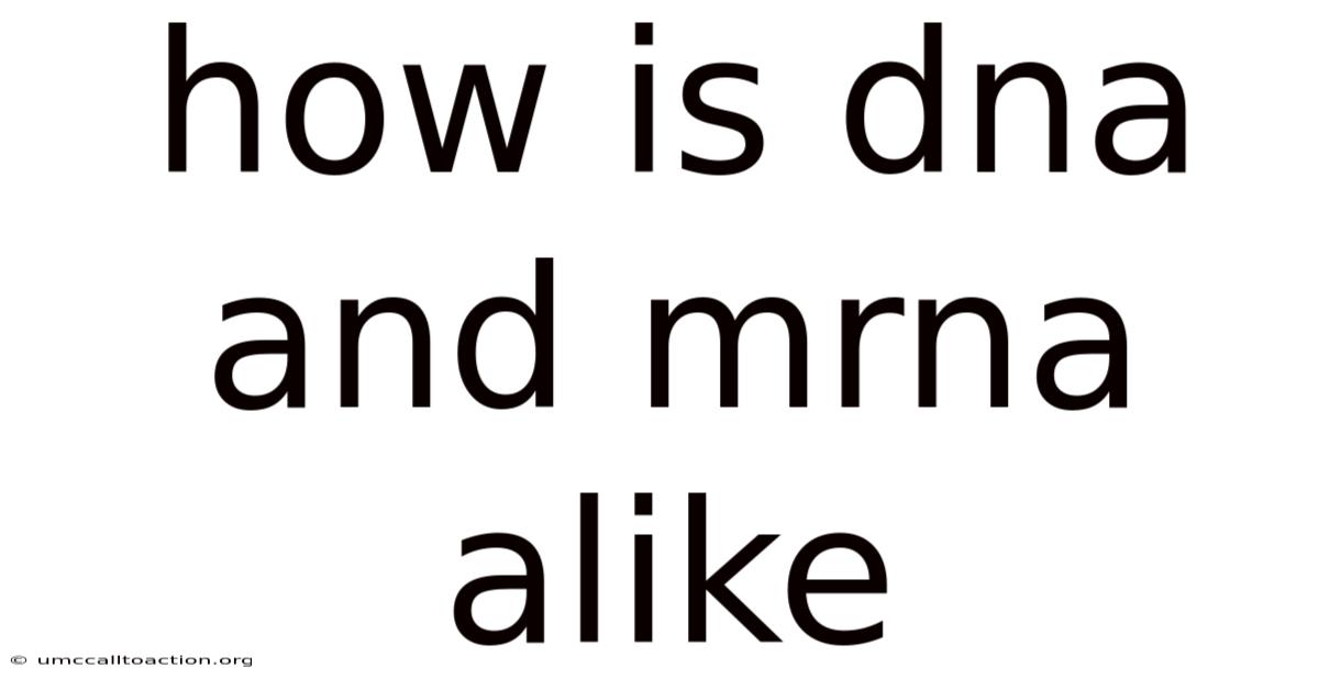 How Is Dna And Mrna Alike