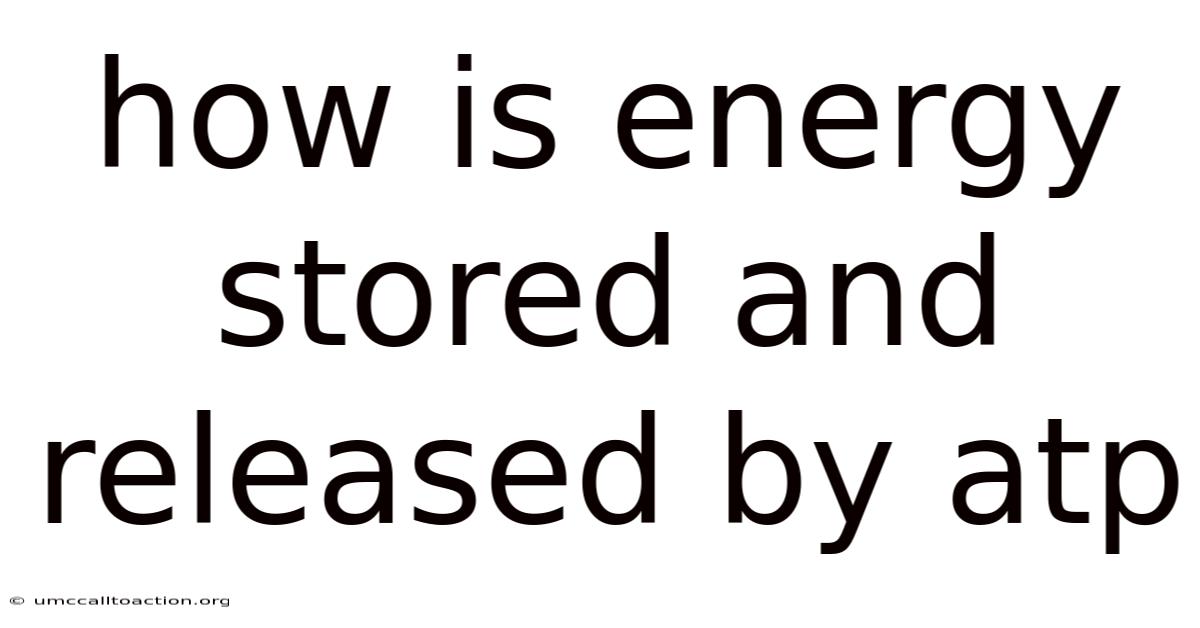 How Is Energy Stored And Released By Atp