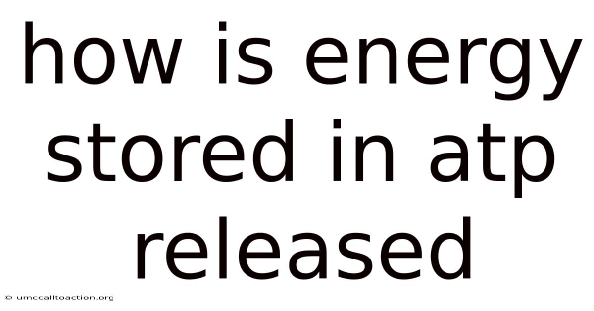 How Is Energy Stored In Atp Released