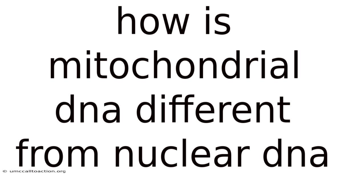 How Is Mitochondrial Dna Different From Nuclear Dna