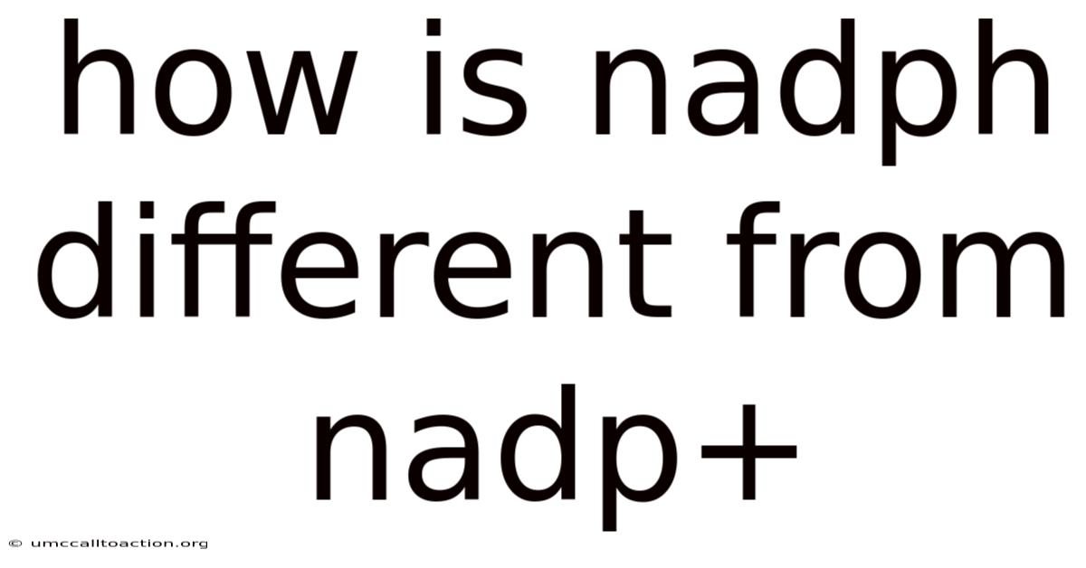 How Is Nadph Different From Nadp+