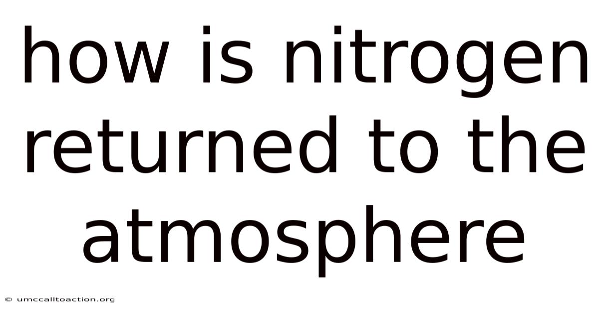 How Is Nitrogen Returned To The Atmosphere