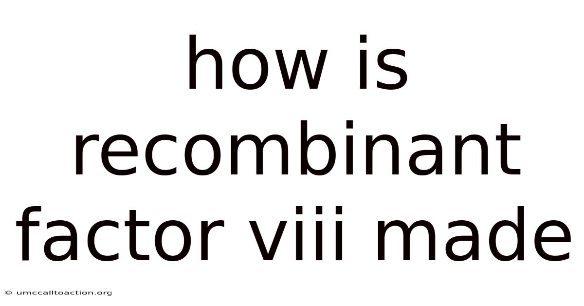 How Is Recombinant Factor Viii Made