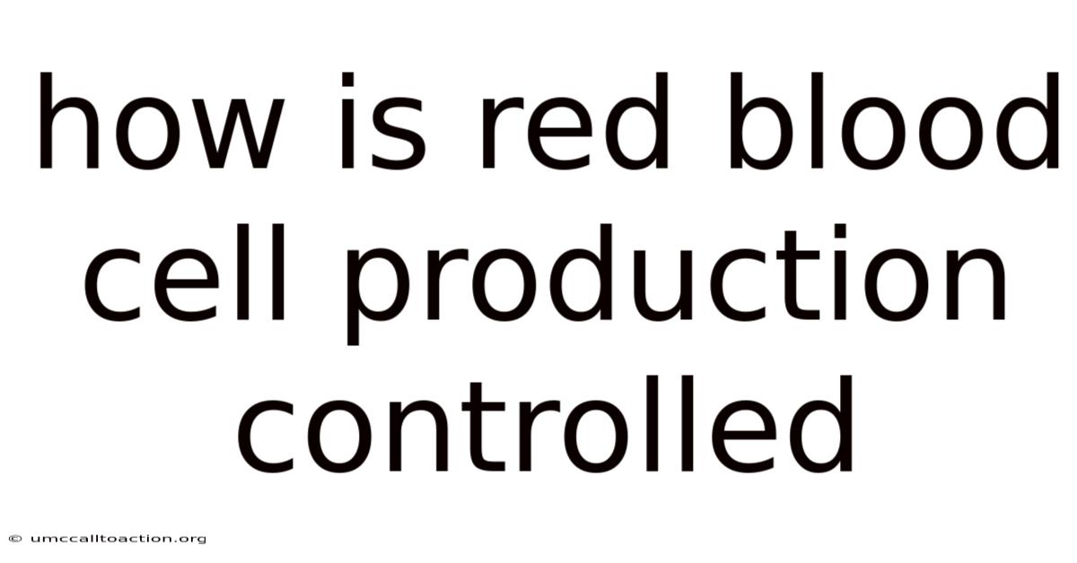 How Is Red Blood Cell Production Controlled
