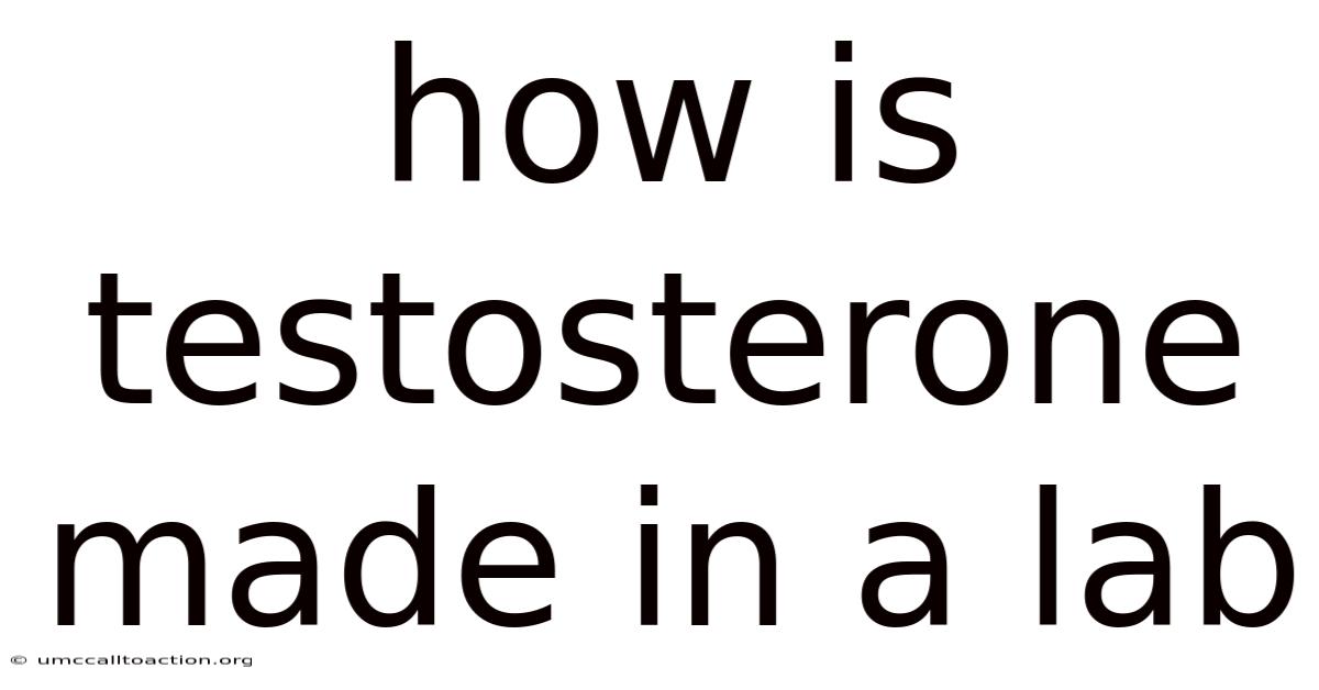 How Is Testosterone Made In A Lab