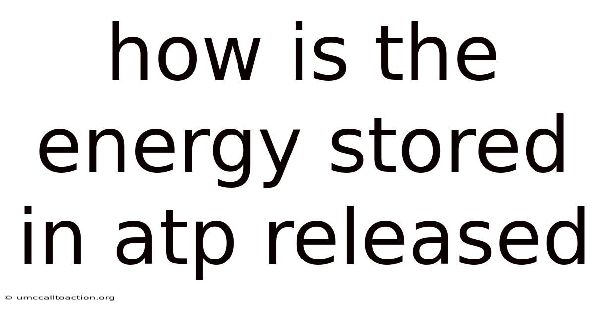 How Is The Energy Stored In Atp Released