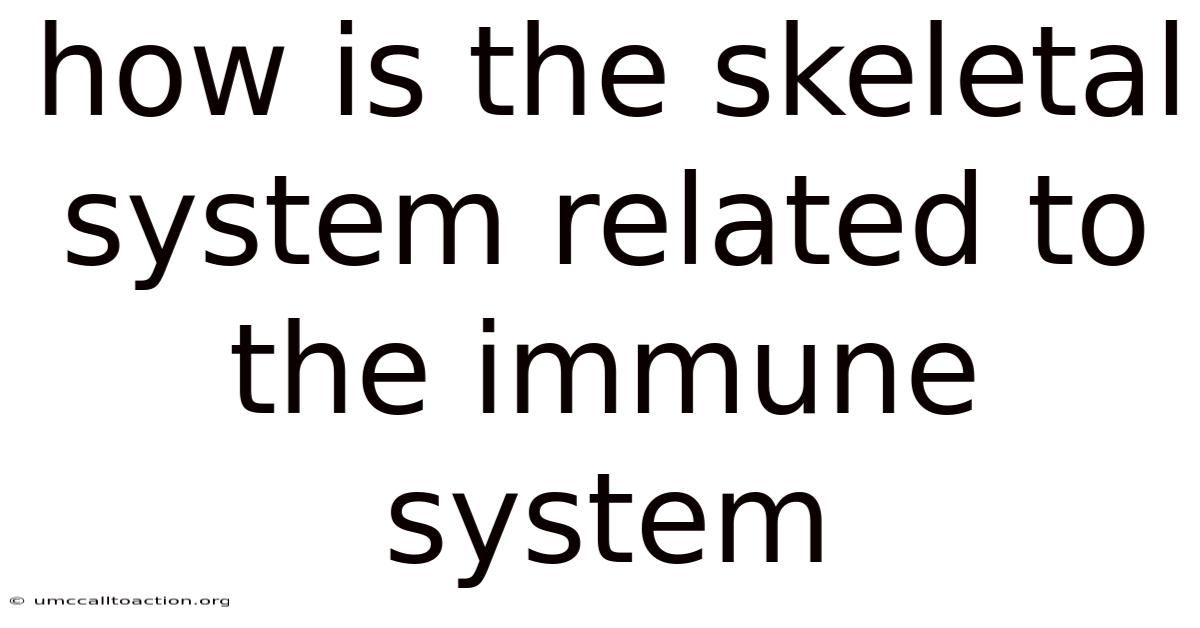 How Is The Skeletal System Related To The Immune System