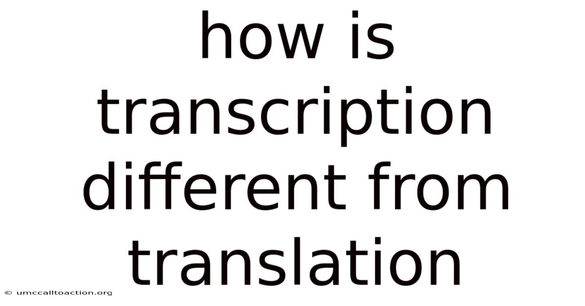How Is Transcription Different From Translation