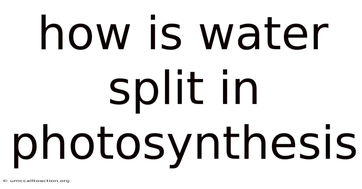 How Is Water Split In Photosynthesis
