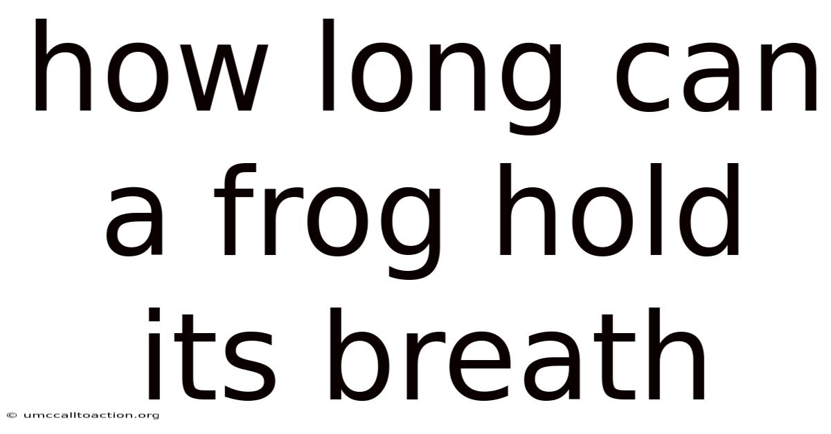 How Long Can A Frog Hold Its Breath