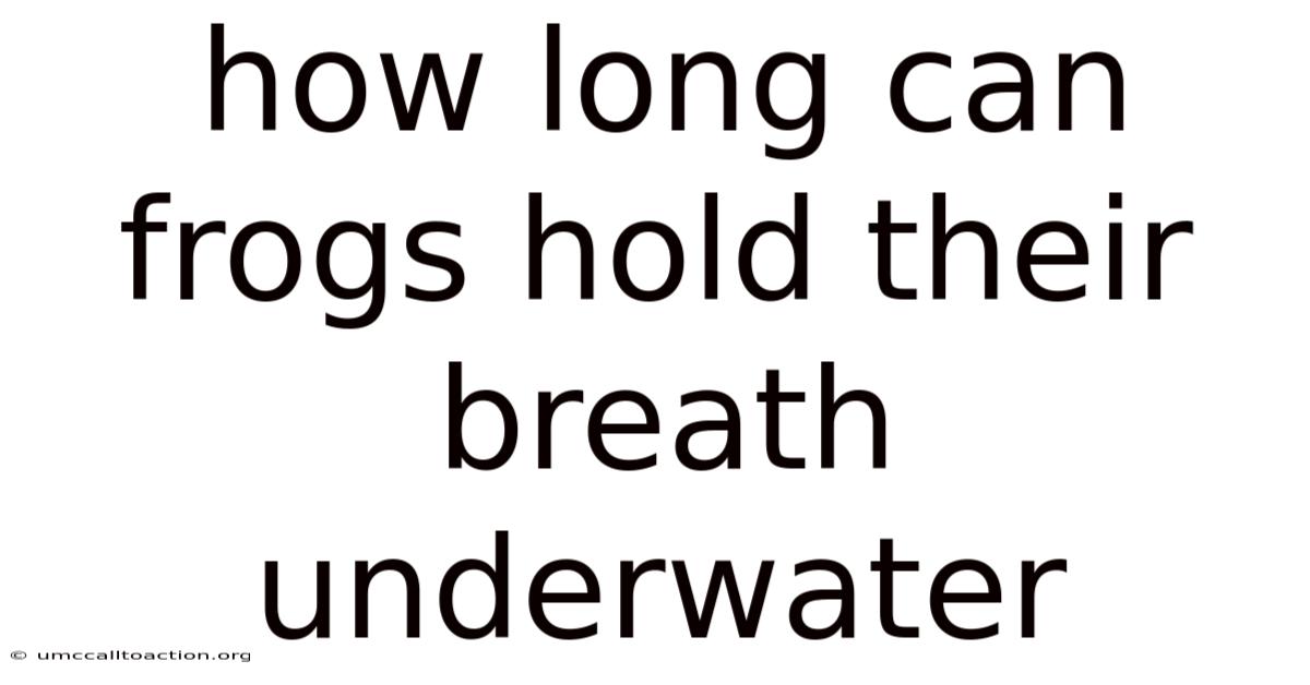 How Long Can Frogs Hold Their Breath Underwater