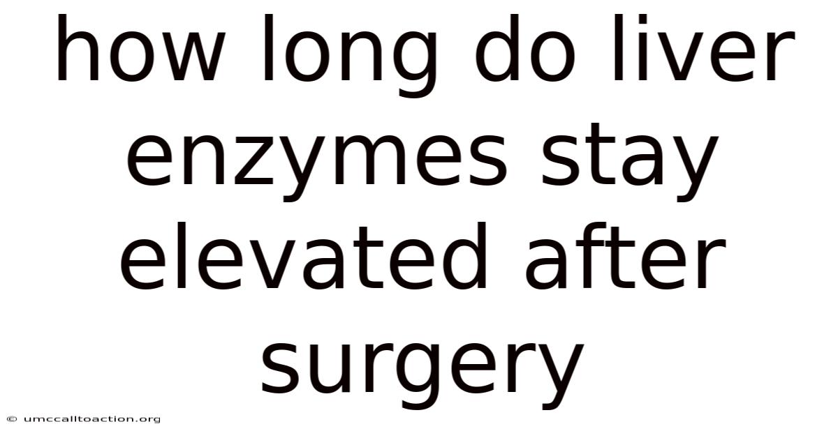How Long Do Liver Enzymes Stay Elevated After Surgery