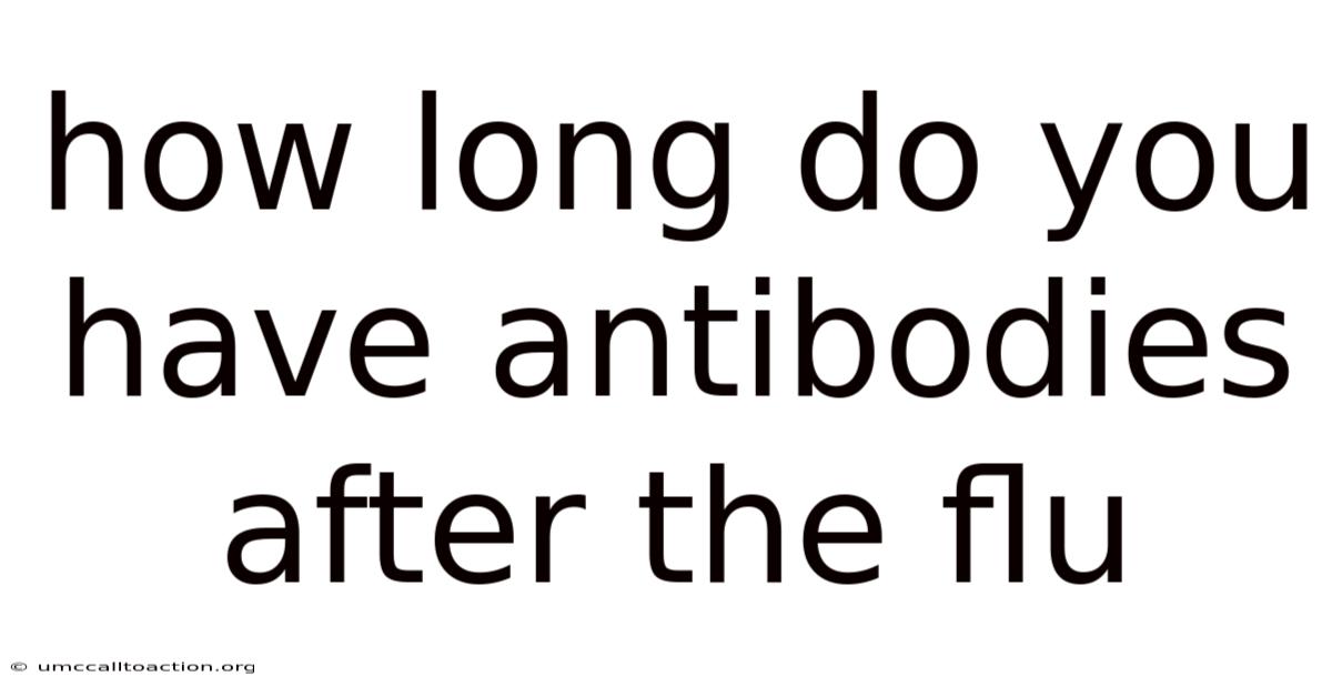 How Long Do You Have Antibodies After The Flu
