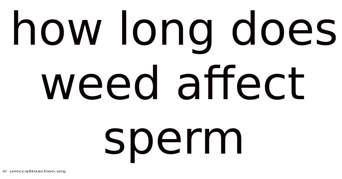 How Long Does Weed Affect Sperm