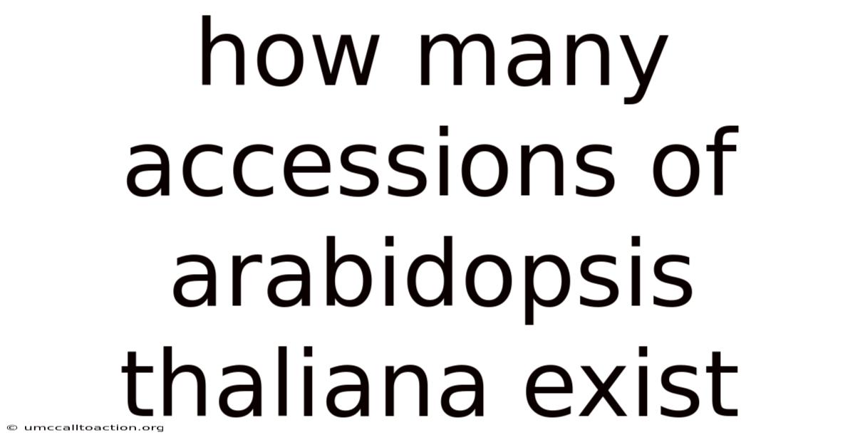 How Many Accessions Of Arabidopsis Thaliana Exist