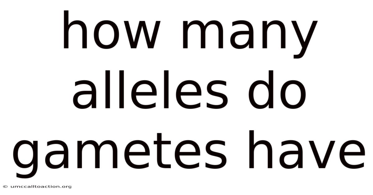 How Many Alleles Do Gametes Have