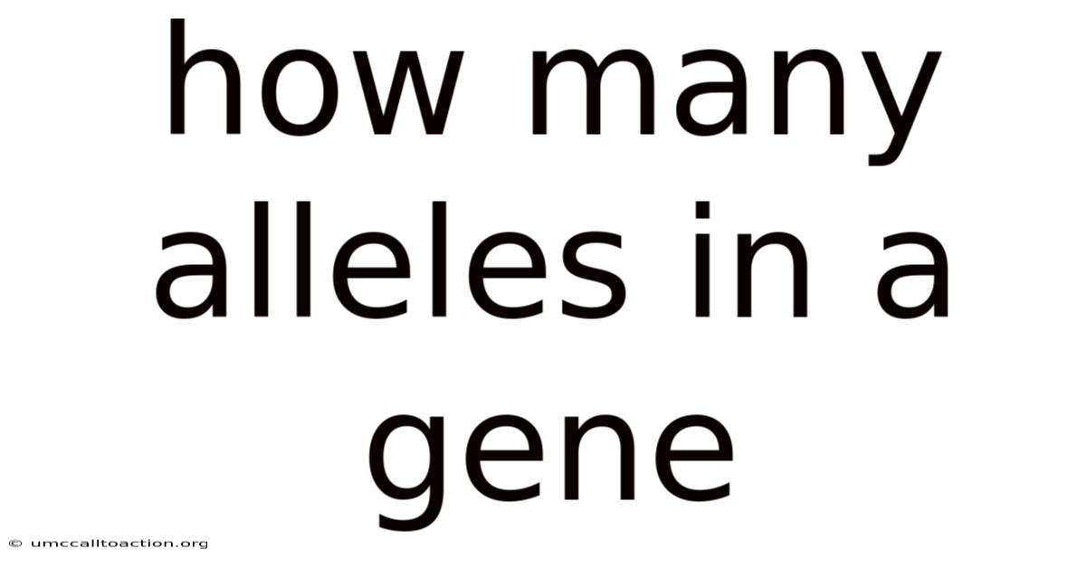 How Many Alleles In A Gene