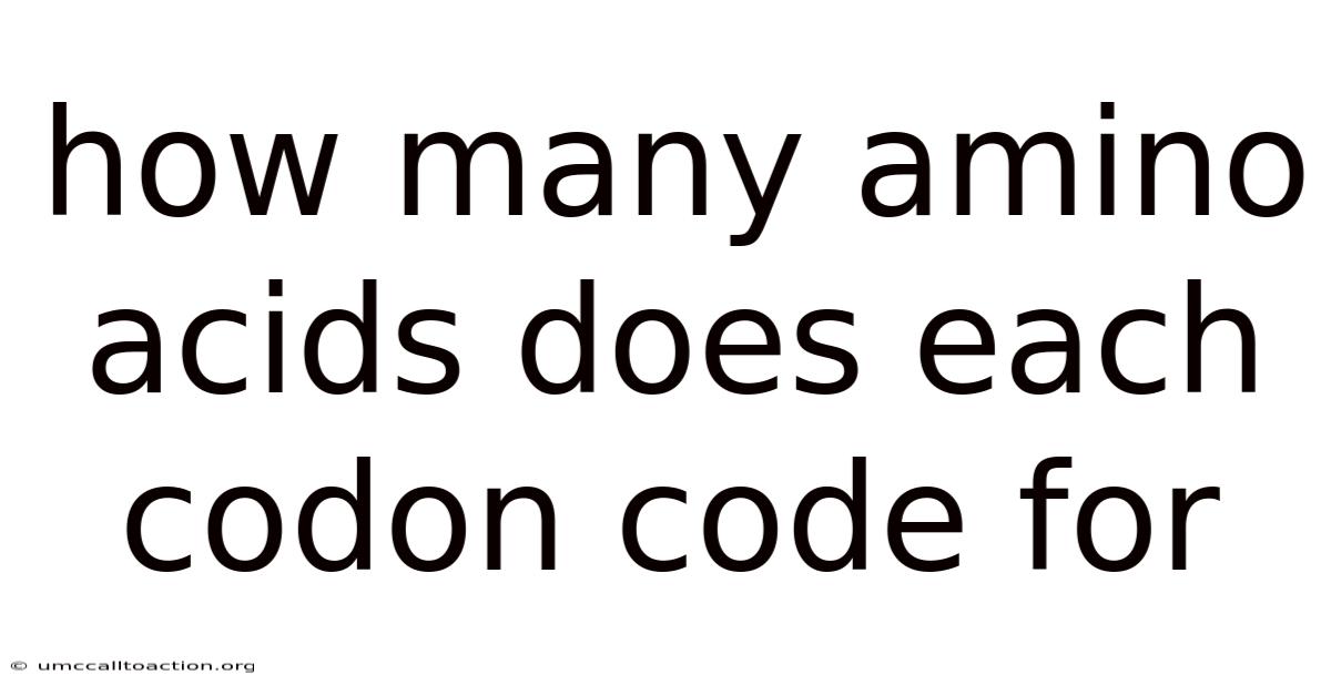 How Many Amino Acids Does Each Codon Code For