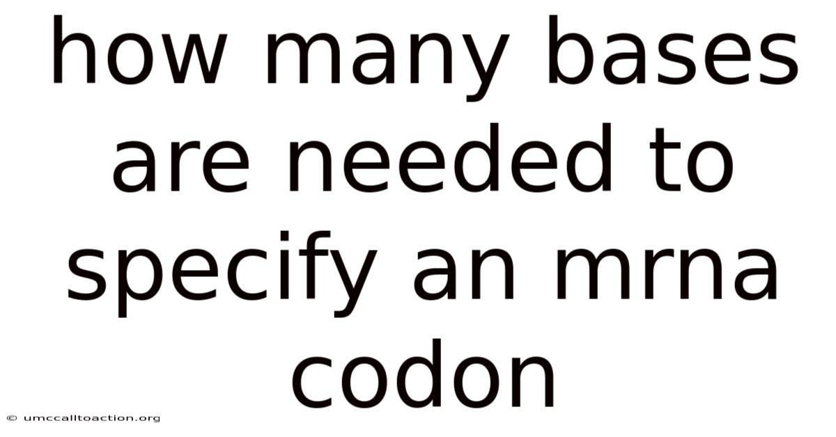 How Many Bases Are Needed To Specify An Mrna Codon
