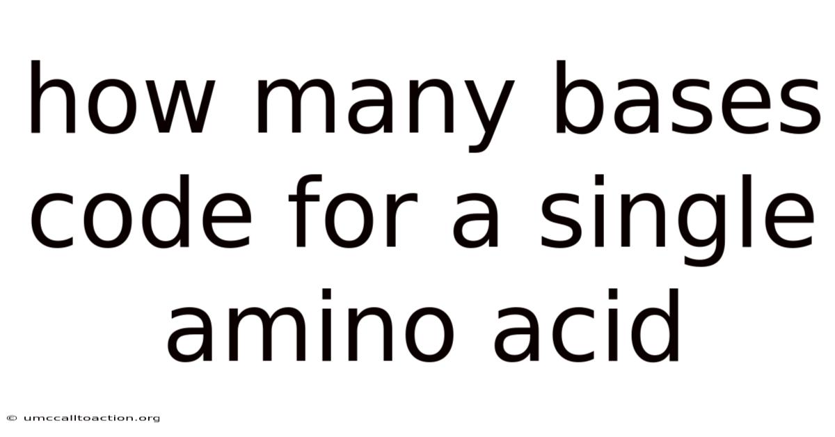 How Many Bases Code For A Single Amino Acid
