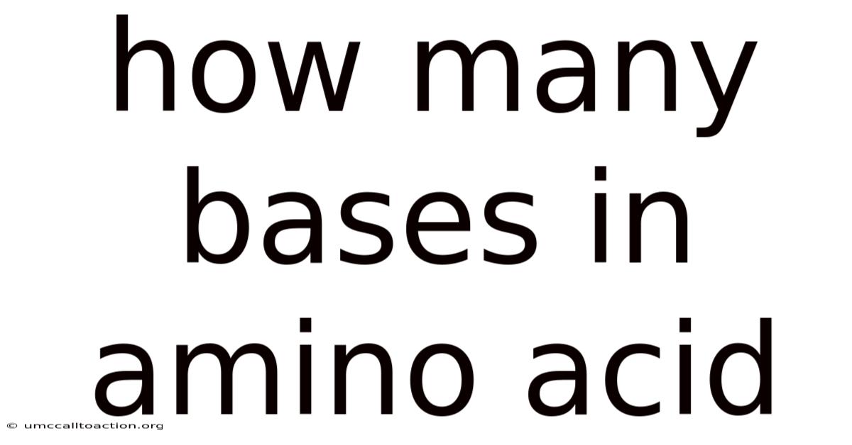 How Many Bases In Amino Acid