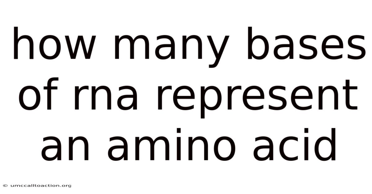 How Many Bases Of Rna Represent An Amino Acid