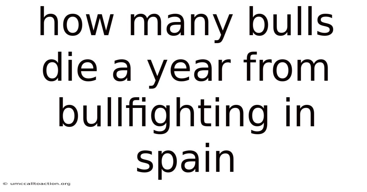 How Many Bulls Die A Year From Bullfighting In Spain