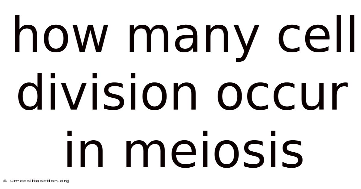 How Many Cell Division Occur In Meiosis