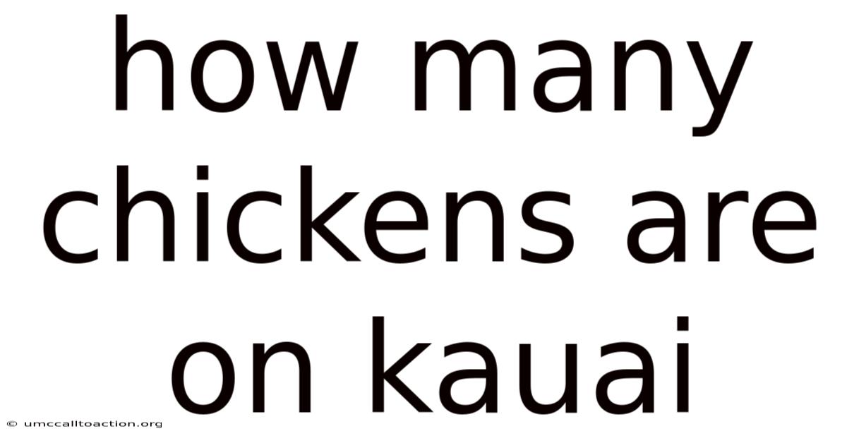 How Many Chickens Are On Kauai