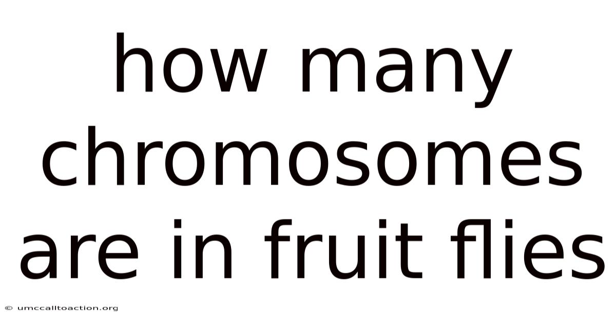 How Many Chromosomes Are In Fruit Flies