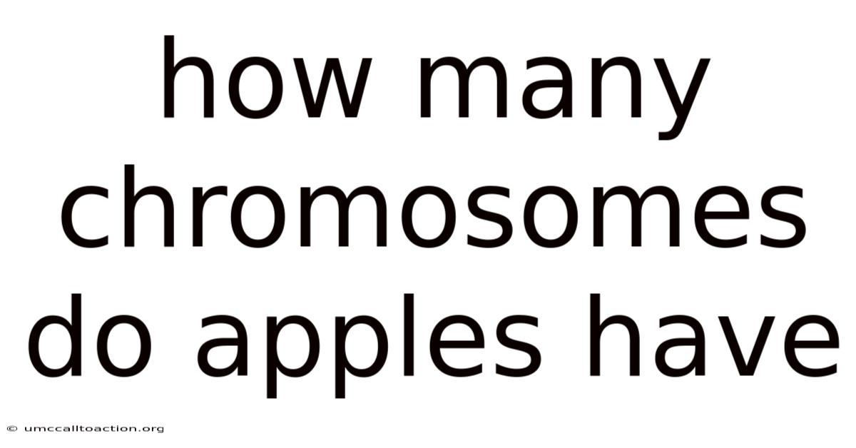 How Many Chromosomes Do Apples Have