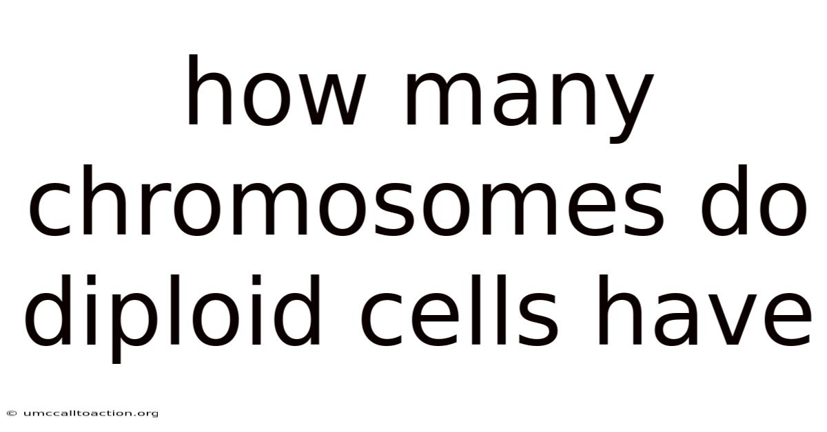 How Many Chromosomes Do Diploid Cells Have