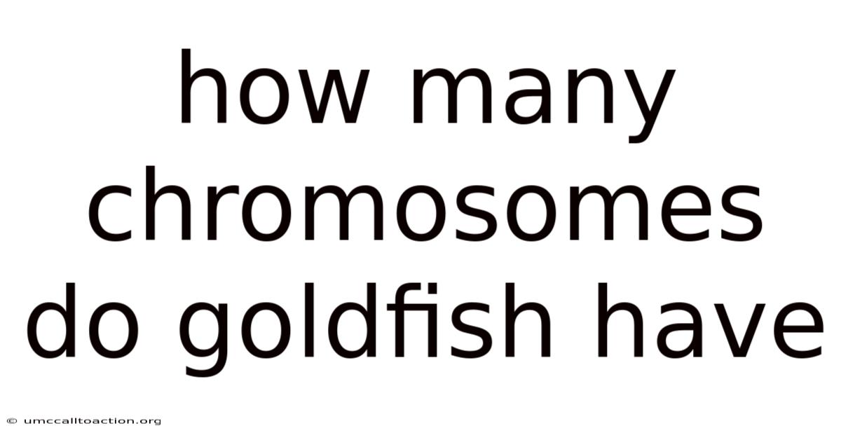 How Many Chromosomes Do Goldfish Have