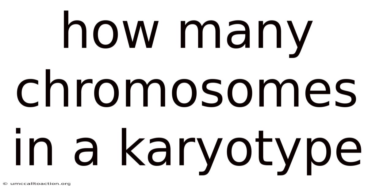 How Many Chromosomes In A Karyotype