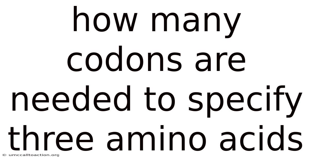 How Many Codons Are Needed To Specify Three Amino Acids