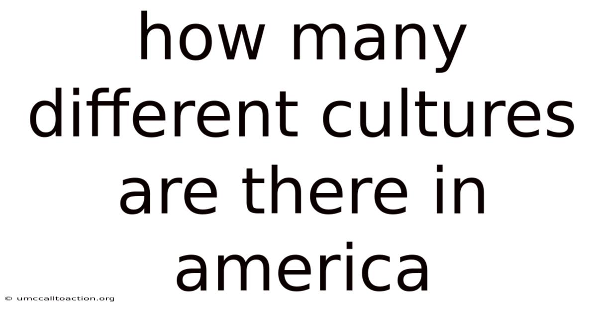 How Many Different Cultures Are There In America