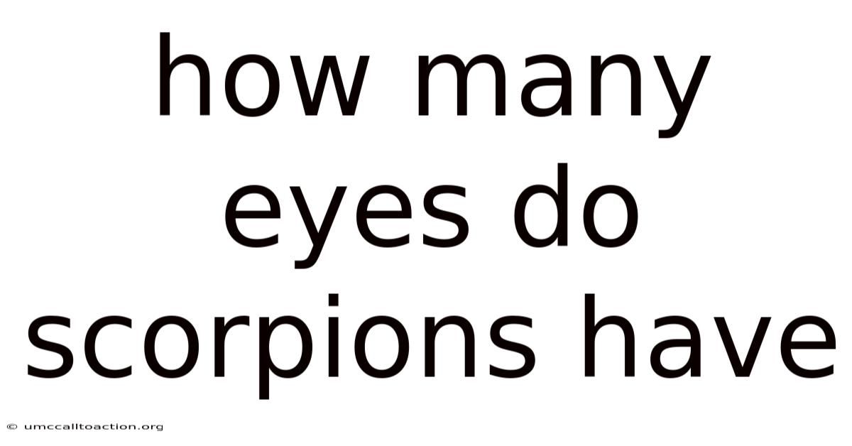 How Many Eyes Do Scorpions Have
