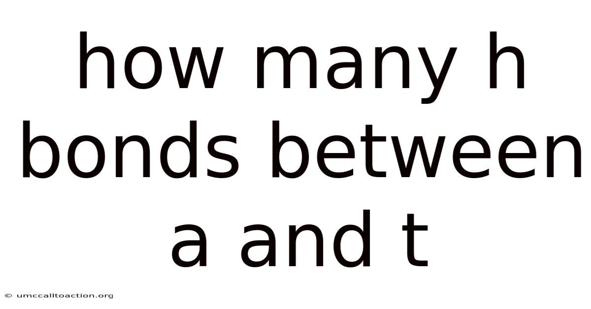 How Many H Bonds Between A And T