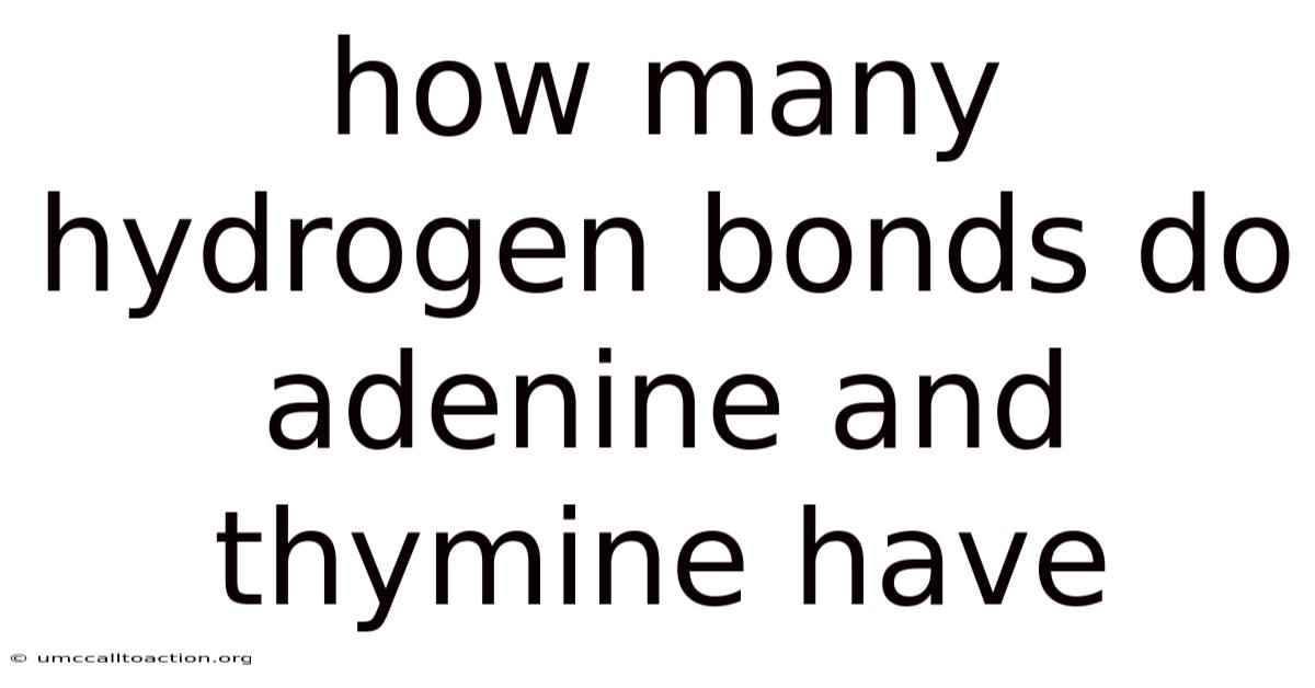 How Many Hydrogen Bonds Do Adenine And Thymine Have