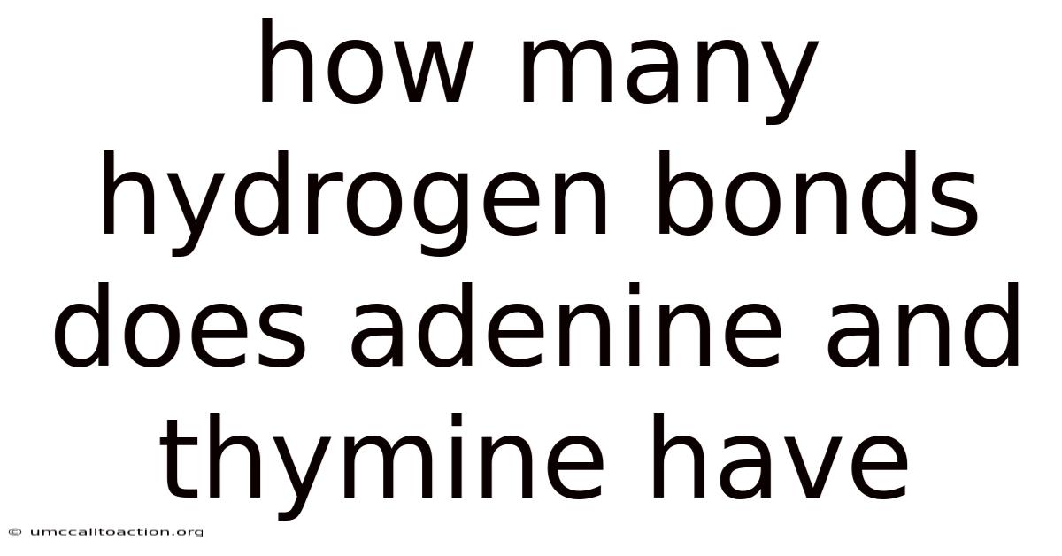 How Many Hydrogen Bonds Does Adenine And Thymine Have