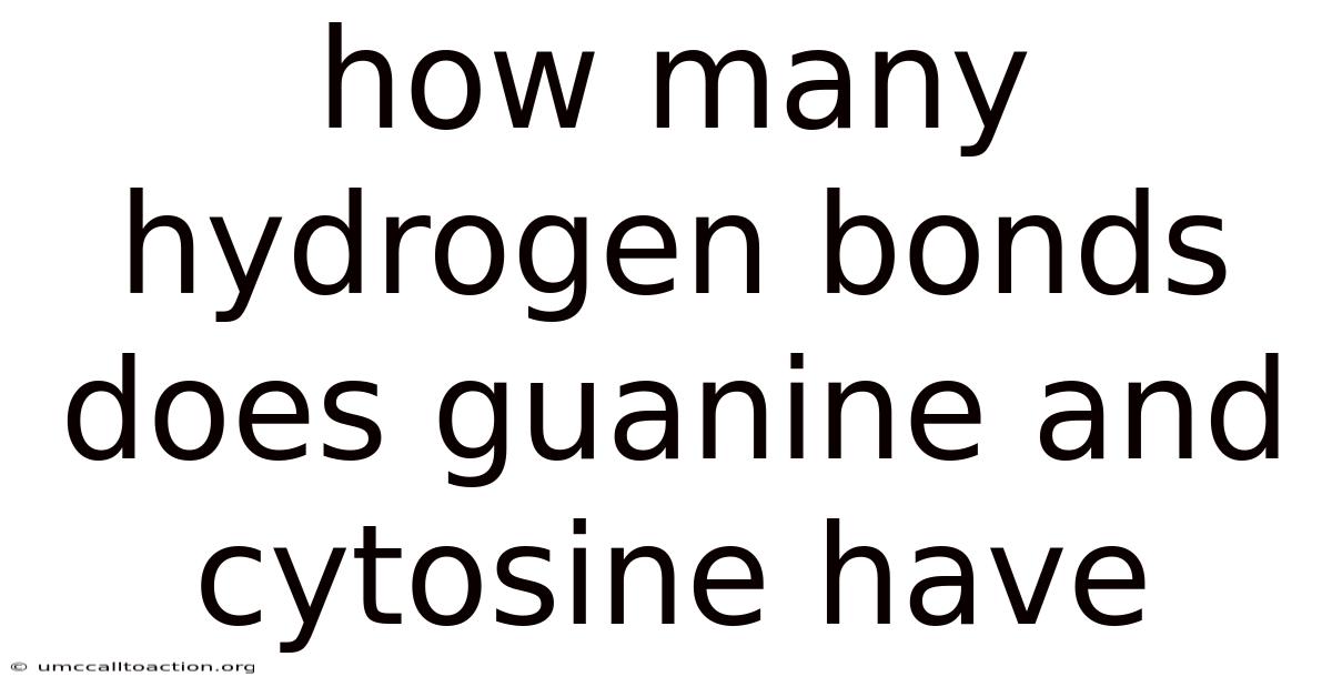 How Many Hydrogen Bonds Does Guanine And Cytosine Have